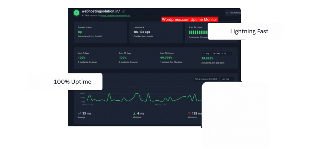 Dashboard showing website uptime statistics with 100% uptime, performance graph, and labels stating "Wordpress.com Uptime Monitor," "Lightning Fast," and "100% Uptime.